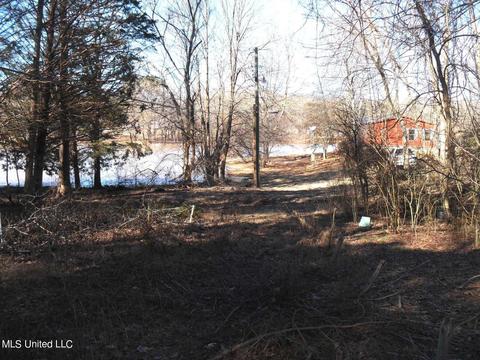 102 Longview Dr, Coldwater, MS 38618 photo 53