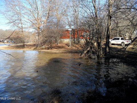 102 Longview Dr, Coldwater, MS 38618 photo 50
