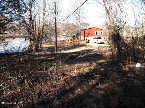 102 Longview Dr, Coldwater, MS 38618 photo 51