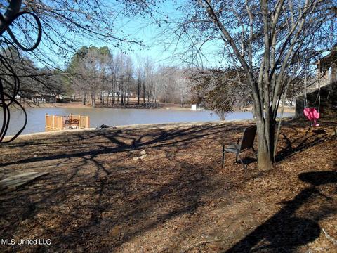 102 Longview Dr, Coldwater, MS 38618 photo 9