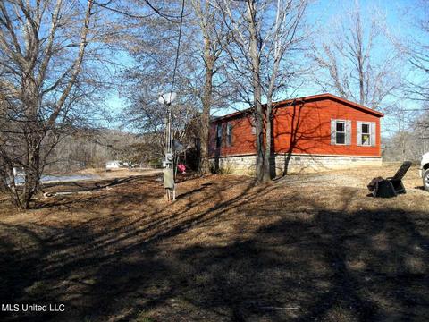 102 Longview Dr, Coldwater, MS 38618 photo 49