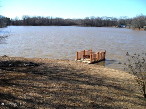 102 Longview Dr, Coldwater, MS 38618 photo 4