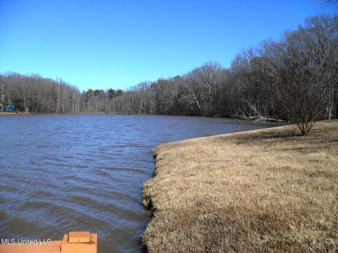 102 Longview Dr, Coldwater, MS 38618 photo 6