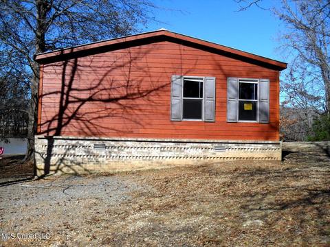 102 Longview Dr, Coldwater, MS 38618 photo 47