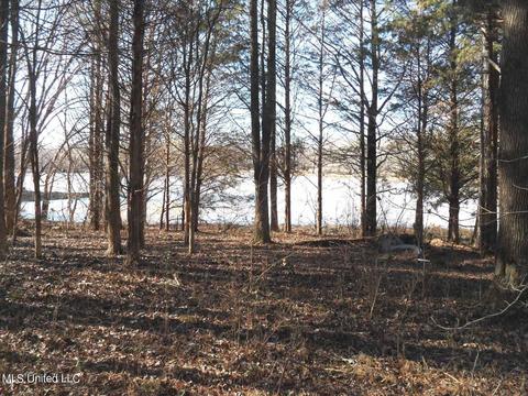 102 Longview Dr, Coldwater, MS 38618 photo 54