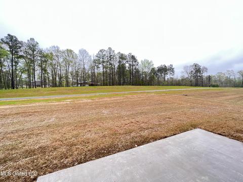 171 Cornerstone Dr, Brandon, MS 39042 photo 38
