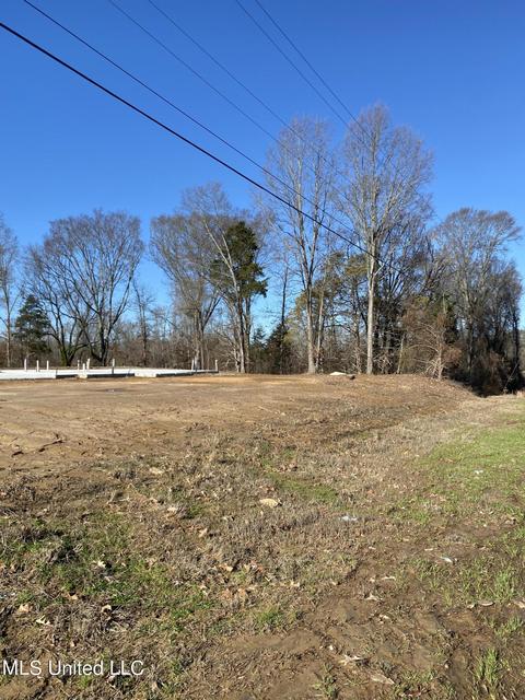 121 Prichard Rd, Coldwater, MS 38618 photo 3