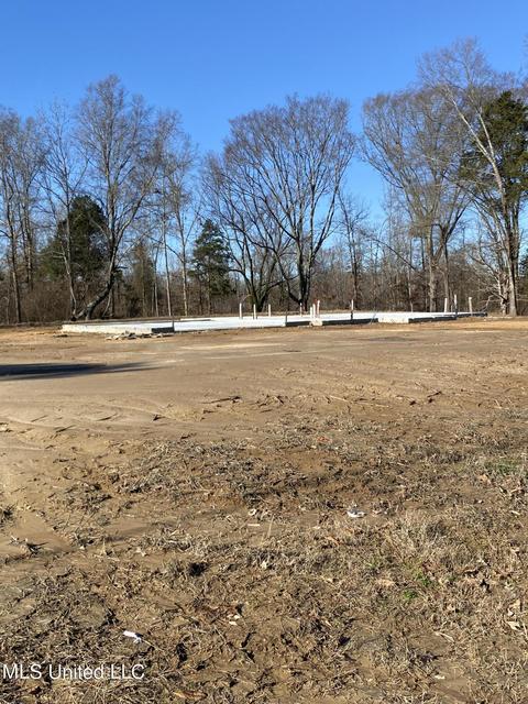 121 Prichard Rd, Coldwater, MS 38618 photo 1