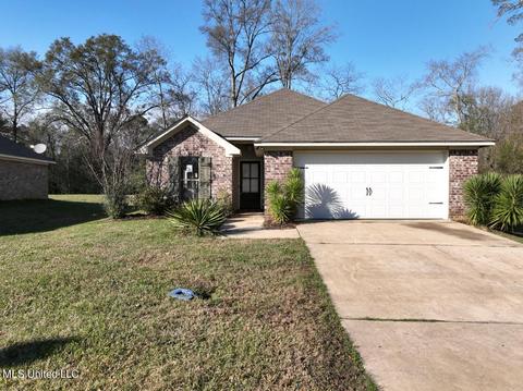 221 Terry Brook Dr, Terry, MS 39170 photo 1