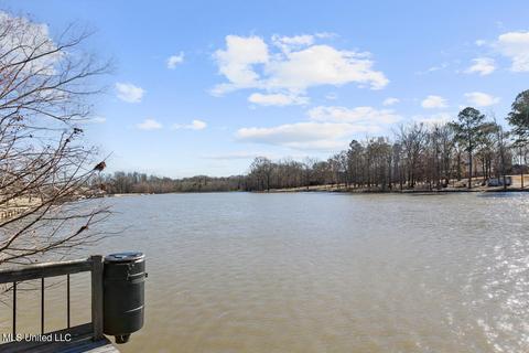 119 Memory Ln, Madison, MS 39110 photo 38