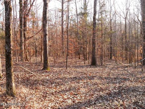 179 Kimes Cv, Sardis, MS 38666