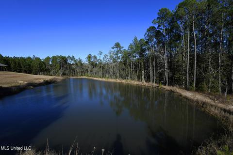 14964 Mitley Ln, Saucier, MS 39574 photo 30