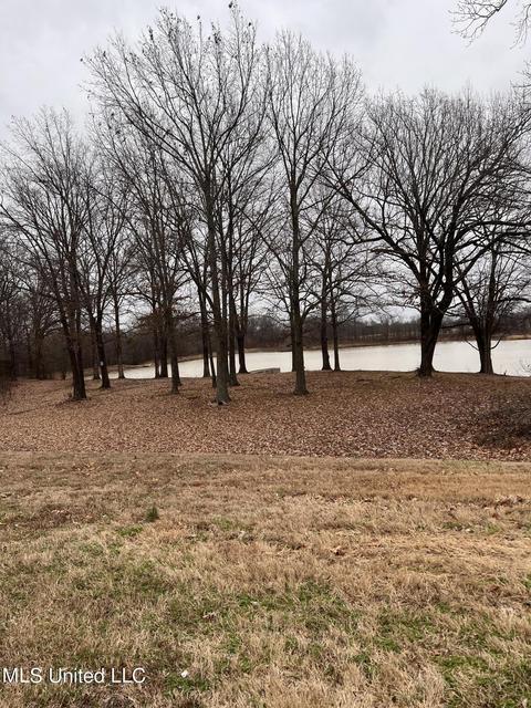 6777 Tyler Dr, Walls, MS 38680 photo 4