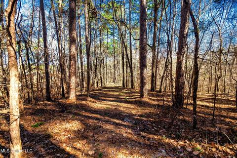 Evergreen Drive, Brandon, MS 39042 photo 5