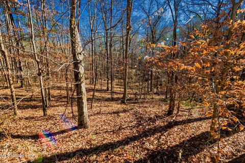 Evergreen Drive, Brandon, MS 39042 photo 6