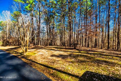 Evergreen Drive, Brandon, MS 39042 photo 3