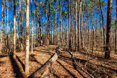 Evergreen Drive, Brandon, MS 39042 photo 4