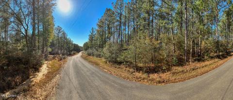 157 Cain Cemetery Rd, Perkinston, MS 39573 photo 9