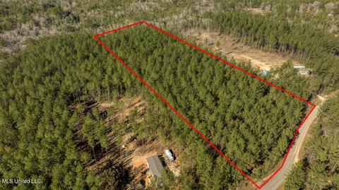 157 Cain Cemetery Rd, Perkinston, MS 39573 photo 3