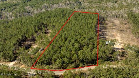 157 Cain Cemetery Rd, Perkinston, MS 39573 photo 2