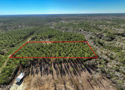 157 Cain Cemetery Rd, Perkinston, MS 39573 photo 7