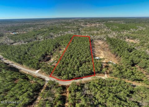 157 Cain Cemetery Rd, Perkinston, MS 39573 photo 8