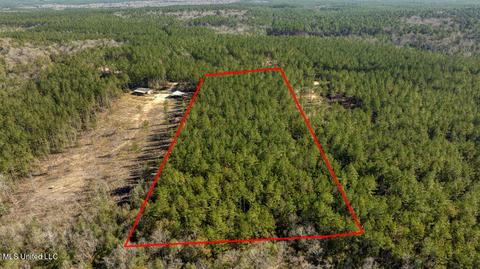 157 Cain Cemetery Rd, Perkinston, MS 39573 photo 5