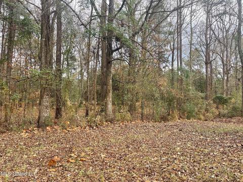 136 Valley Cv, Florence, MS 39073 photo 41