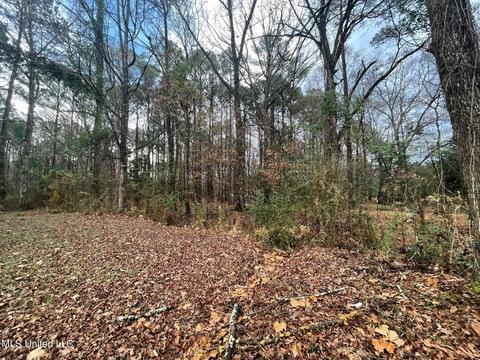 136 Valley Cv, Florence, MS 39073 photo 37