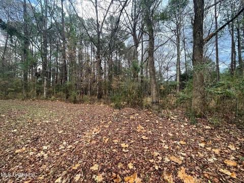 136 Valley Cv, Florence, MS 39073 photo 35