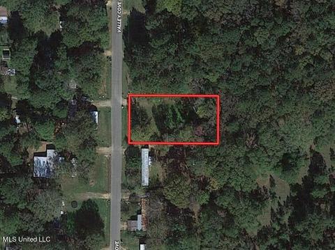 136 Valley Cv, Florence, MS 39073 photo 43