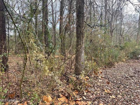 136 Valley Cv, Florence, MS 39073 photo 40