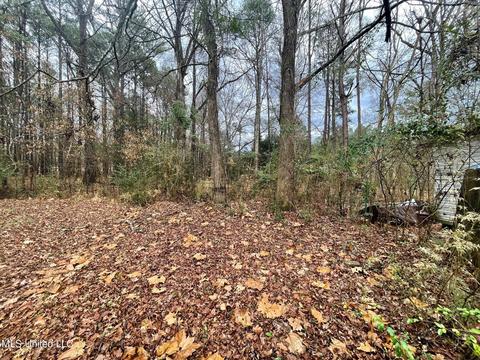 136 Valley Cv, Florence, MS 39073 photo 36