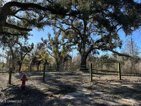 127 Old Pecan Grove Ln, Waveland, MS 39576