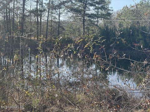 158 Ceasar Rd, Picayune, MS 39466 photo 22