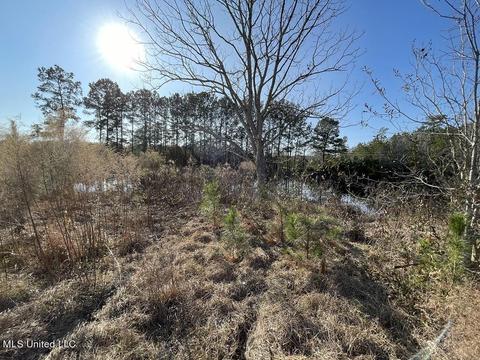 158 Ceasar Rd, Picayune, MS 39466 photo 21