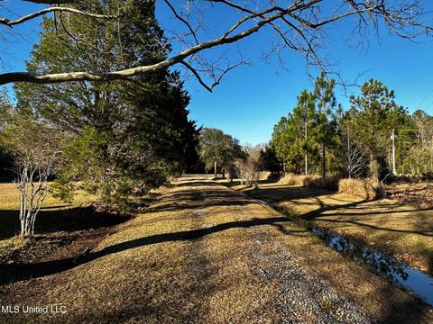 7900 Nutbank Rd, Moss Point, MS 39562 photo 3