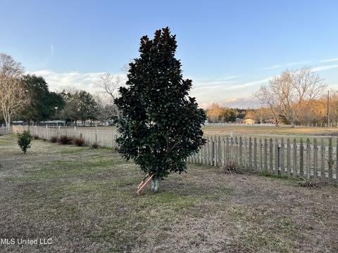 6030 Red Gate Dr, Long Beach, MS 39560 photo 40