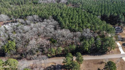 260 Johnstone Dr, Madison, MS 39110 photo 16
