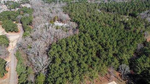 260 Johnstone Dr, Madison, MS 39110 photo 8