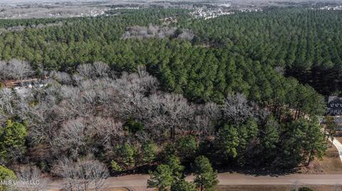 260 Johnstone Dr, Madison, MS 39110 photo 7