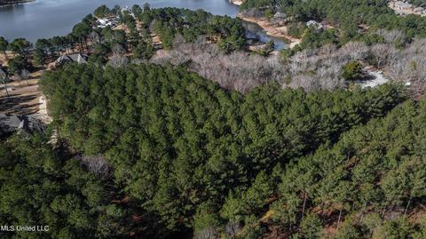 260 Johnstone Dr, Madison, MS 39110 photo 1