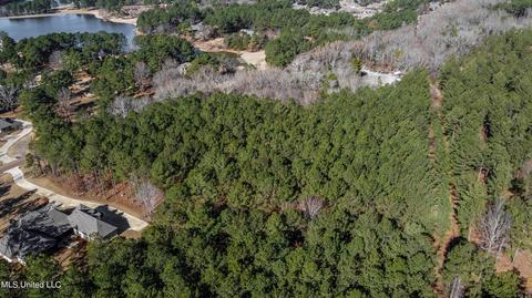 260 Johnstone Dr, Madison, MS 39110 photo 10