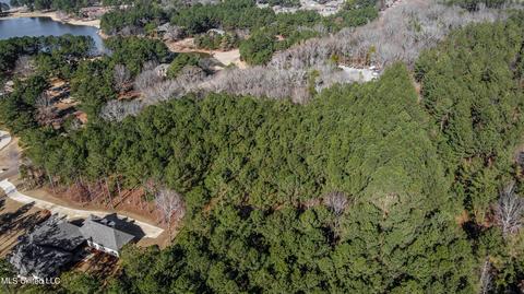 260 Johnstone Dr, Madison, MS 39110 photo 9