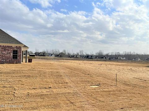 8085 Williamson Dr, Olive Branch, MS 38654 photo 21