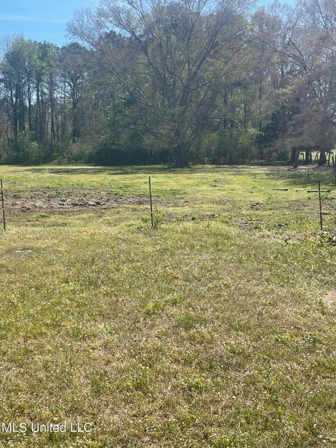 1176 Midway Rd, Lena, MS 39094 photo 28