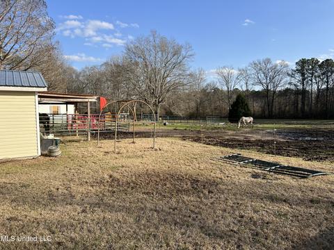 1176 Midway Rd, Lena, MS 39094 photo 6