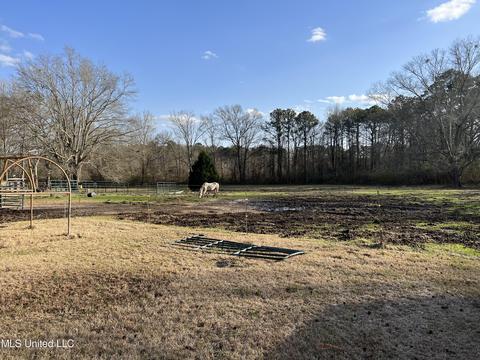 1176 Midway Rd, Lena, MS 39094 photo 10