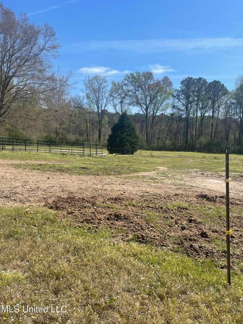 1176 Midway Rd, Lena, MS 39094 photo 29