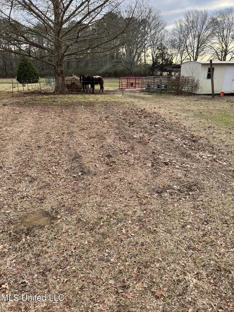 1176 Midway Rd, Lena, MS 39094 photo 12